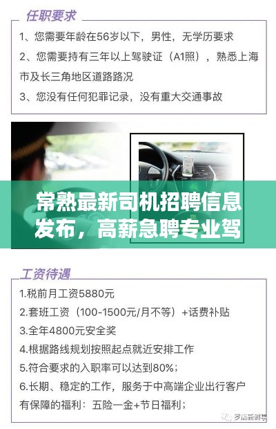一毫不苟 第2页