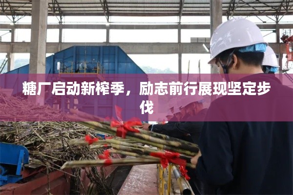 糖厂启动新榨季，励志前行展现坚定步伐