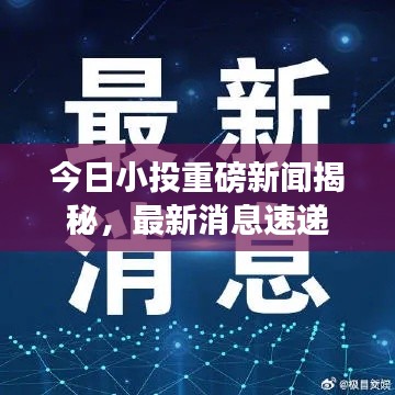 今日小投重磅新闻揭秘，最新消息速递