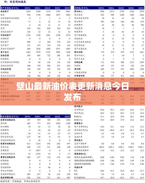 壁山最新油价表更新消息今日发布