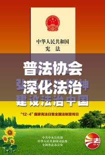 普法协会深化法治宣传，共建和谐社会，推动法治文化建设的新篇章