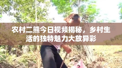 飞来飞去