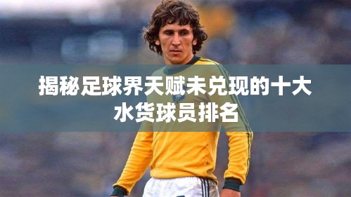 揭秘足球界天赋未兑现的十大水货球员排名