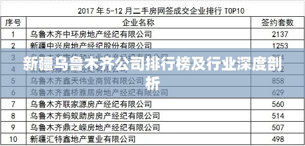 新疆乌鲁木齐公司排行榜及行业深度剖析