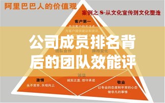 公司成员排名背后的团队效能评估与优化策略