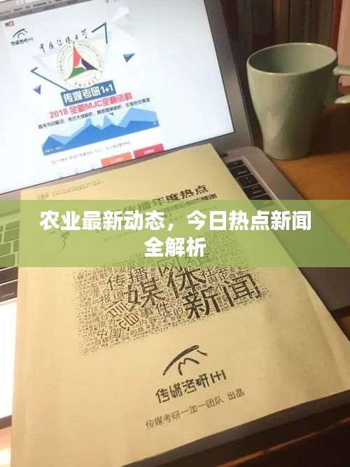农业最新动态，今日热点新闻全解析