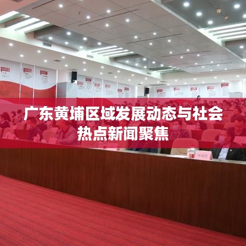 广东黄埔区域发展动态与社会热点新闻聚焦