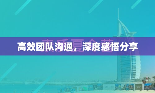 高效团队沟通，深度感悟分享