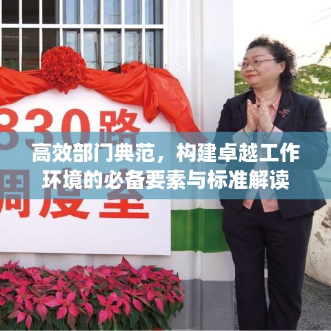 高效部门典范，构建卓越工作环境的必备要素与标准解读