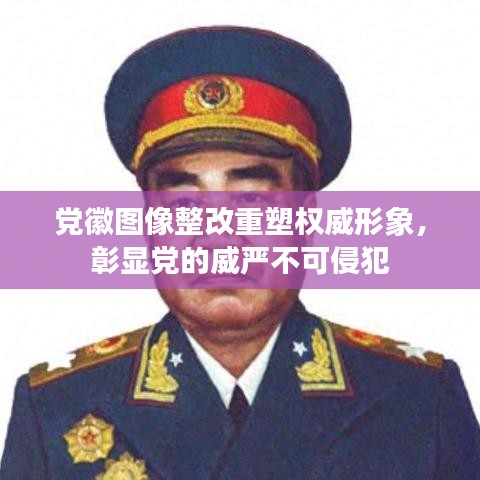 党徽图像整改重塑权威形象，彰显党的威严不可侵犯