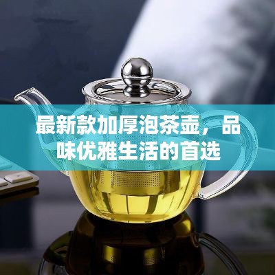 最新款加厚泡茶壶，品味优雅生活的首选
