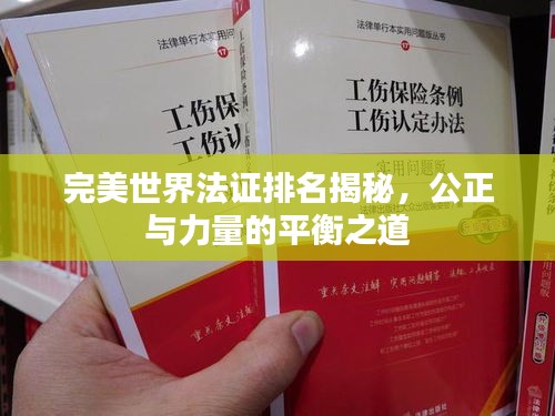 完美世界法证排名揭秘，公正与力量的平衡之道
